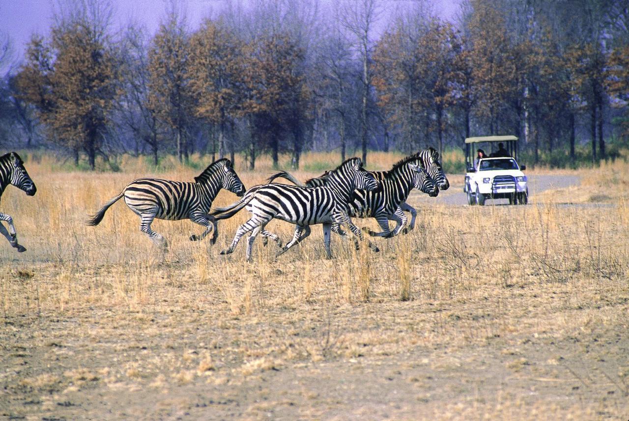 Emerald Resort & Casino Vanderbijlpark Dış mekan fotoğraf